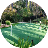putting-greens-turf